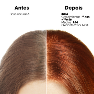 L’Oréal Pro Inoa 5