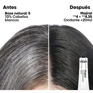 L’ORÉAL Pro Majirel 10