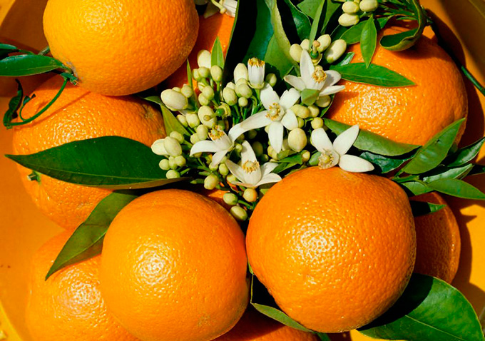 Oranges