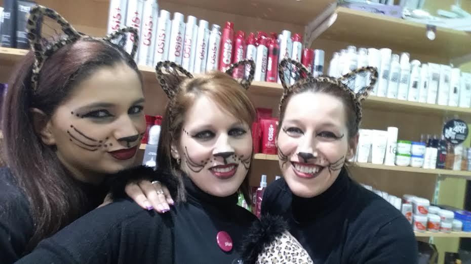gatinhas
